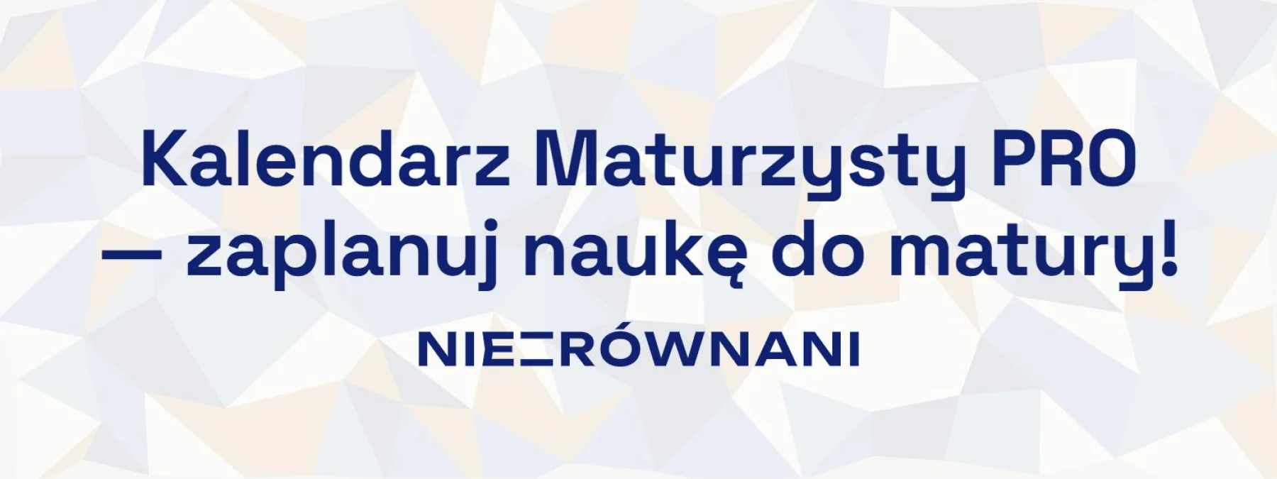 Kalendarz Maturzysty PRO - grafika Niezrównanych